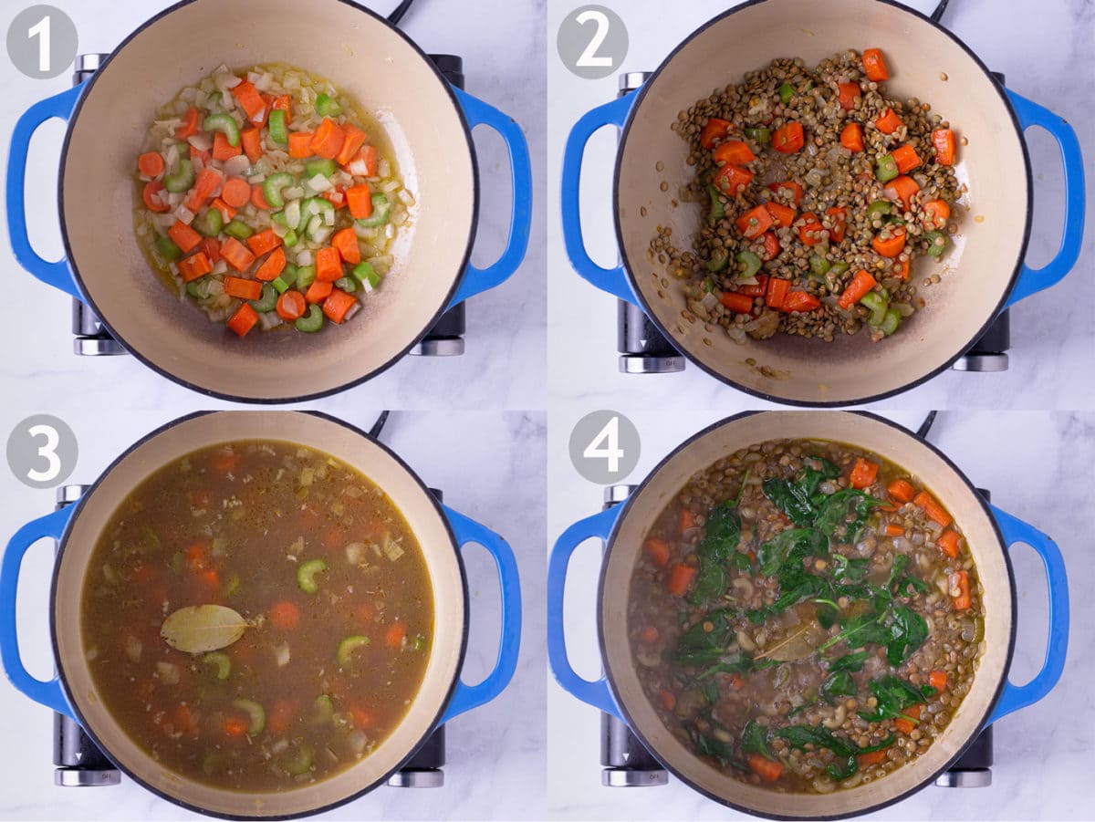 Step by step photos of making lentil soup: saute carrots, celery and onion, add garlic and lentils, add broth and bay leaf, simmer and stir in spinach.