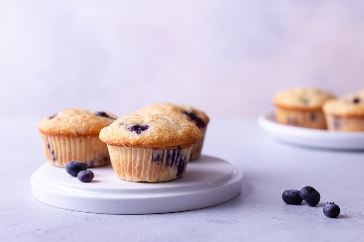 Straight on shot of two plates of Blueberry Muffins with a light blue background.