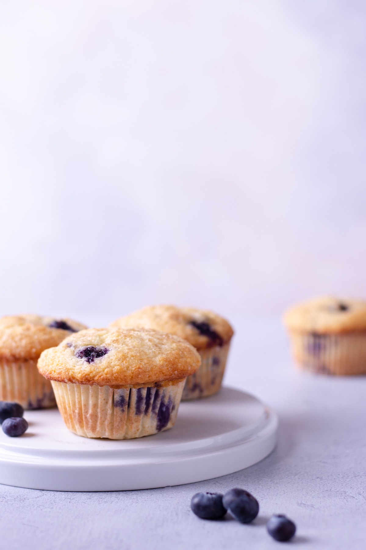Straight on shot of a plate of Buttermilk Blueberry Muffins with a light blue background.