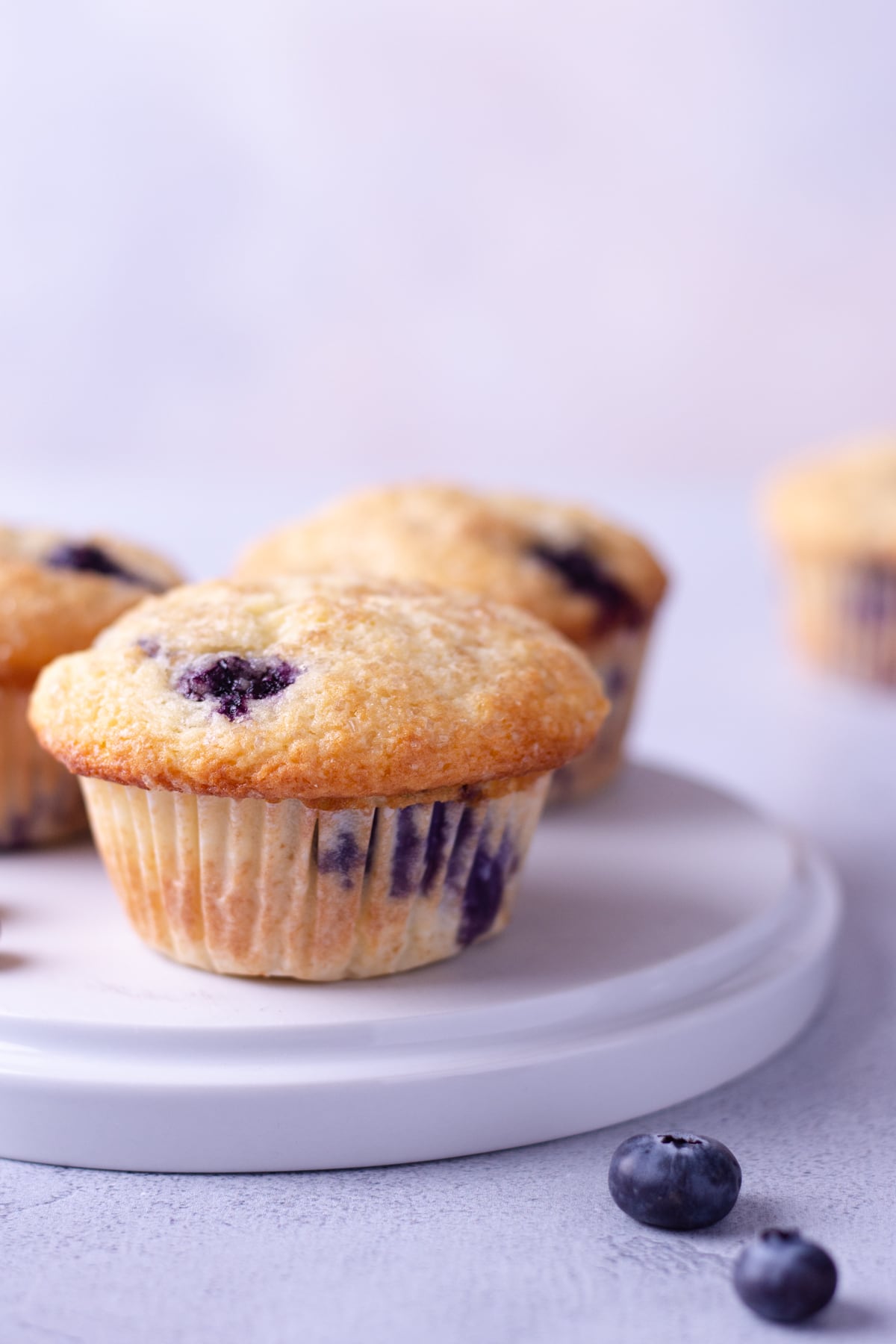 Close up shot of a plate of Blueberry Muffins with a light blue background.