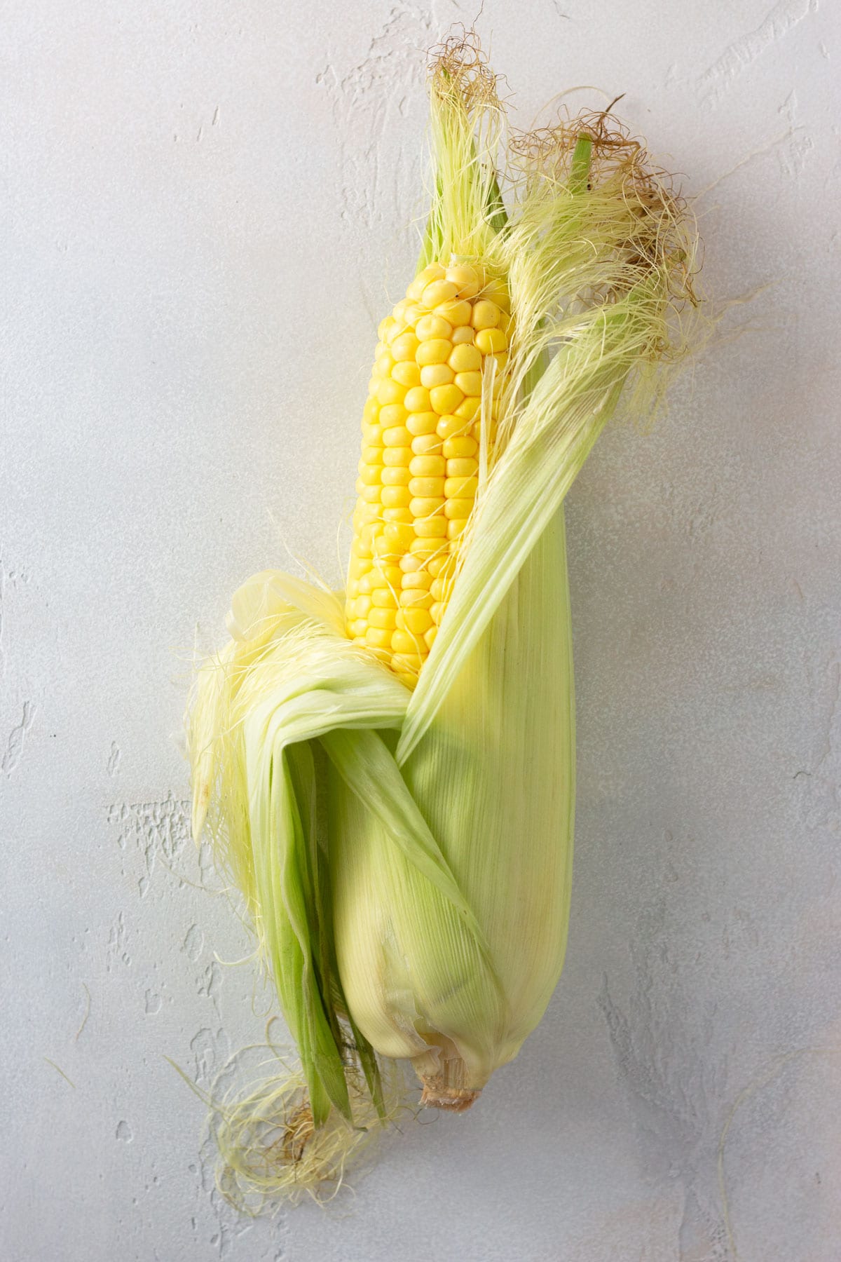 Overhead view of an ear of corn with the husk peeled partly down.
