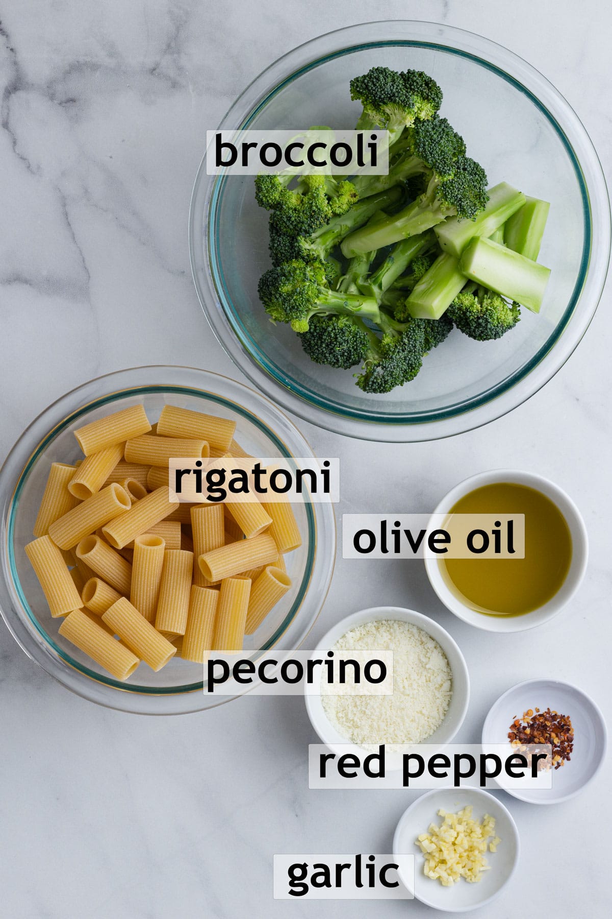 Ingredients, including broccoli, rigatoni pasta, olive oil, pecorino cheese, red pepper and garlic.