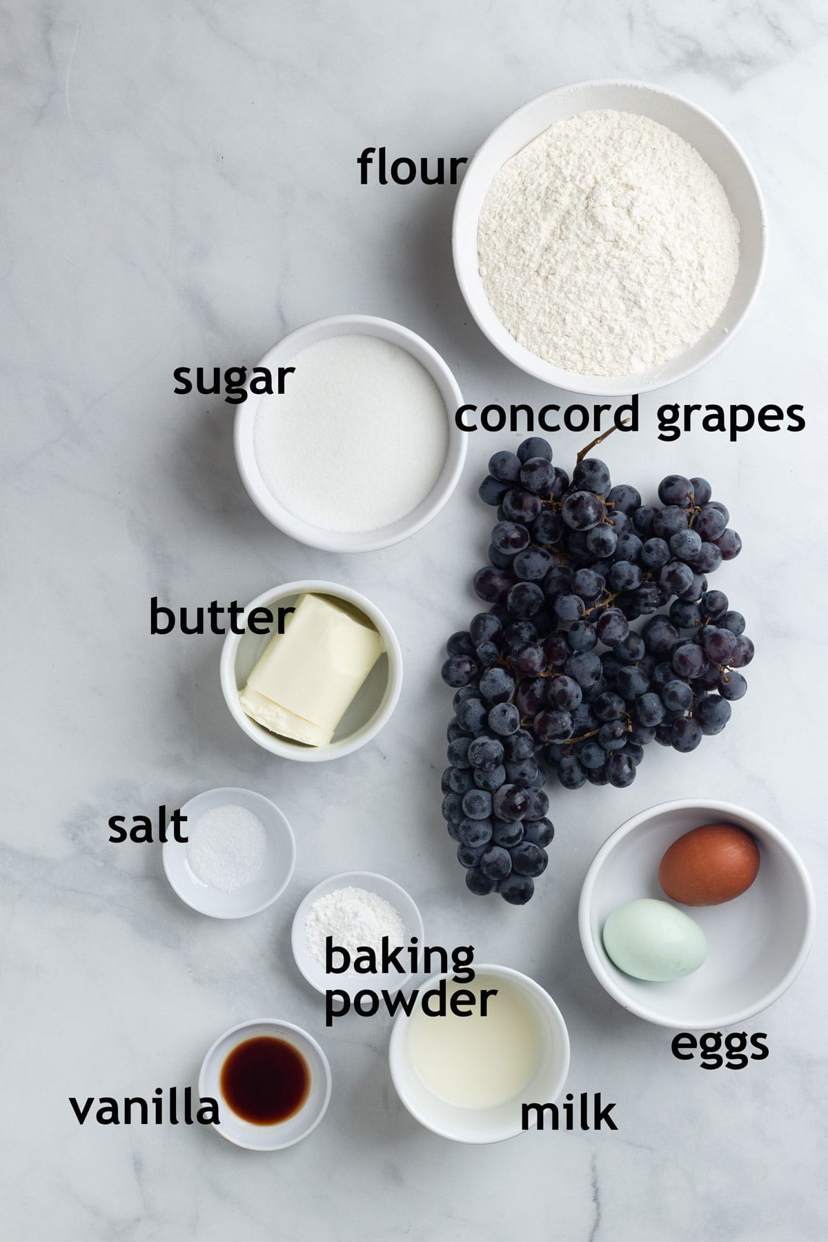 Ingredients including flour, sugar, butter, grapes, baking powder, salt, eggs, milk and vanilla.