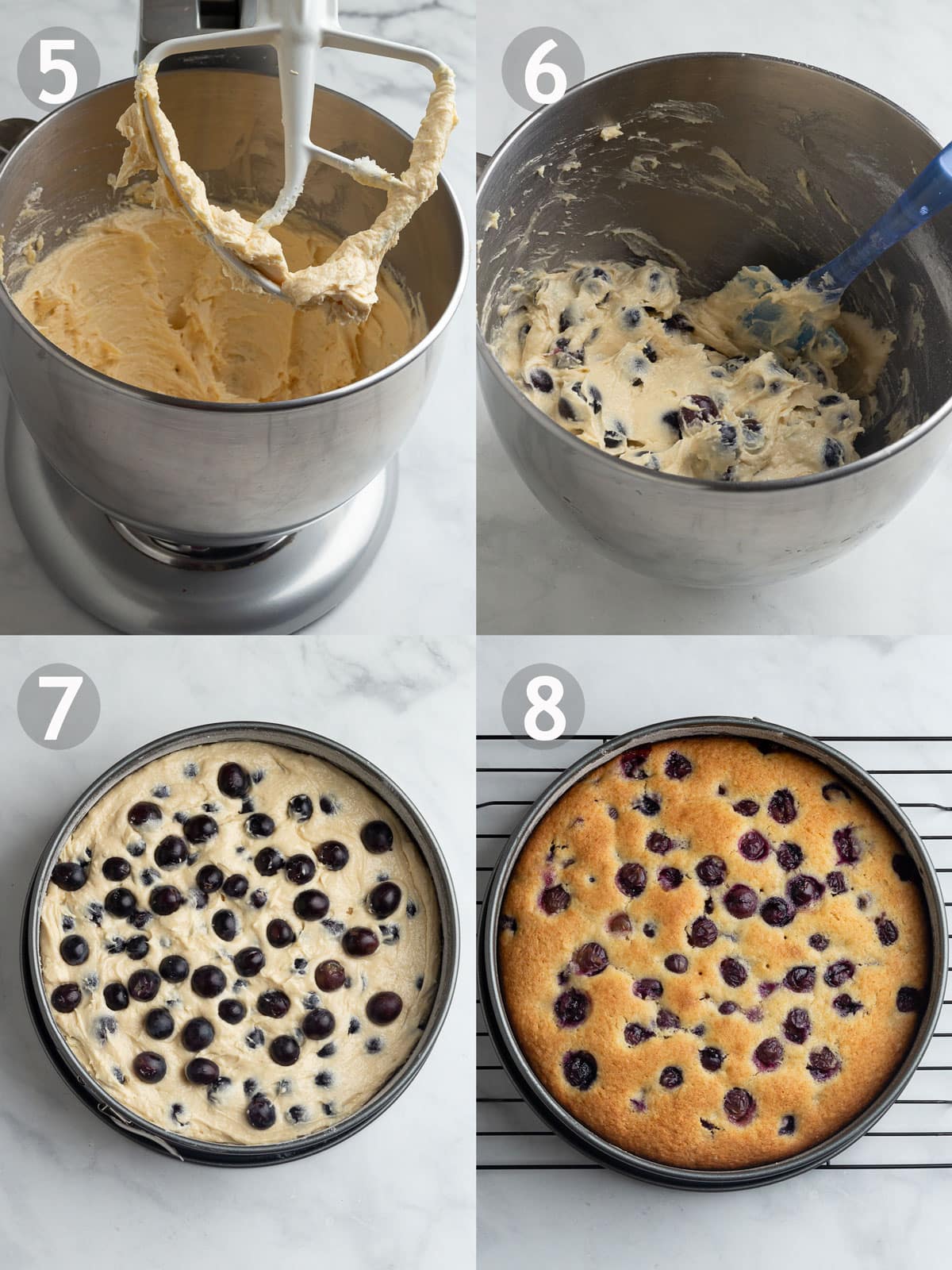 Recipe Steps, 5-8, including combining the wet and dry ingredients and baking the cake.