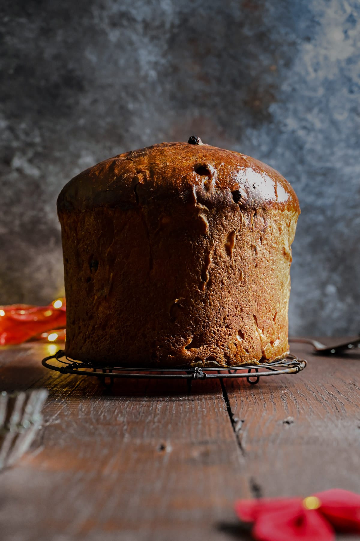 Straight on view of a panettone on a rustic wire rack on a dark wood surface.
